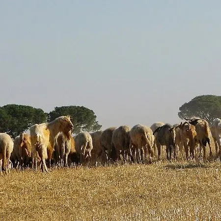 La Dimora Degli Svevi Altamura